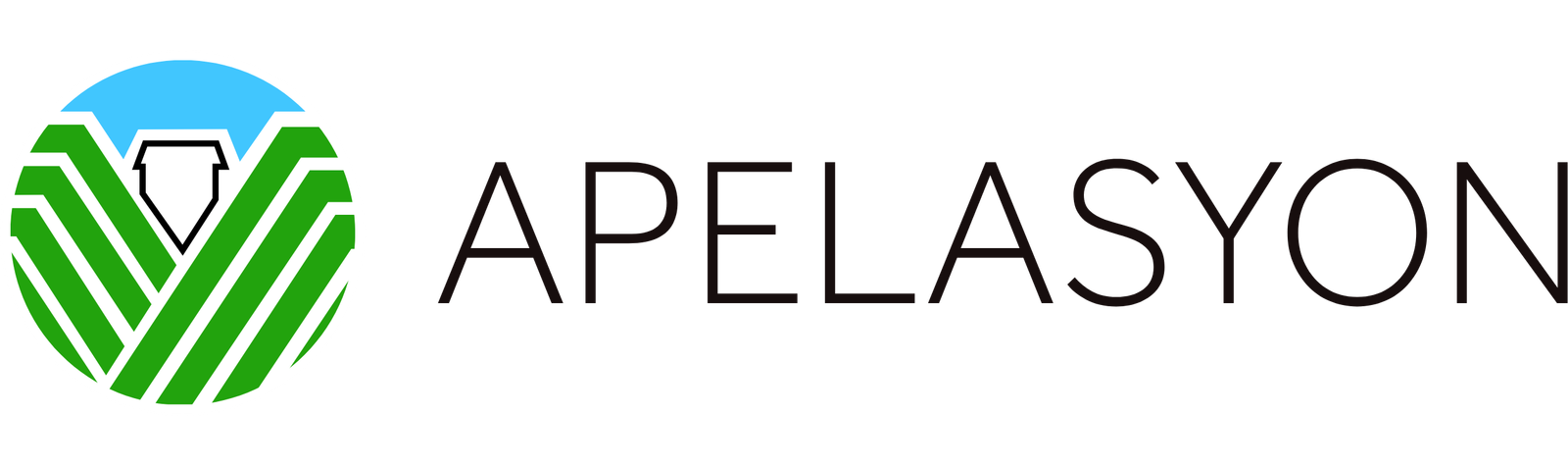 Apelasyon