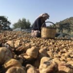 Dünya Ticaret Savaşları Kızışıyor