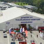 Zafer Derin’le 8500 Yıl Derinliğinde Bir Söyleşi