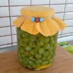 Tarımsal Kooperatiflerin Gelişimi-11
