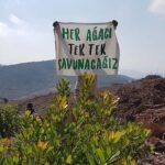 Doğal Yaşama Geçiş ve Bağ Evleri