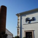 Sağlık Dolu Bir Tropikal Meyve: Pitaya (ya da Ejder Meyvesi)