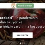 Sakin Rotalar
