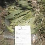 Çiftçi Kadınlar I – Mülksüzler
