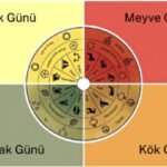 Keskin Sirke Küpünü Sever!