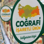 Küresel Isınmanın Bitki Hastalıkları Üzerindeki Abiyotik ve Biyotik Etkileri