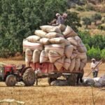AB ve Hindistan, serbest ticaret anlaşmasını bu yıl sonuçlandırma konusunda anlaşmaya çalışıyor