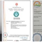 Aylara Göre Zeytin Takvimi: Ağustos 2019