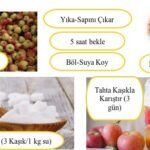 Bernard Pivot’dan “Şarabın Aşk Sözlüğü”