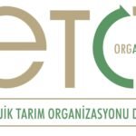 ARGE ile Ürün Geliştirme ve Günlük Yaşamın İçinden