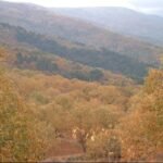 Bilim-Felsefe-Tarih Üzerine Gıda Katkılı Aforizmalar