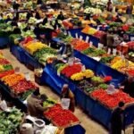 Zeytin Sütü Yoktur Zeytin Ağaçtır İnek Değildir