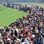 Endüstriyel Tarımdan Çeşitlendirilmiş Agroekolojik Sistemlere Geçiş