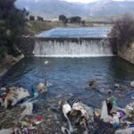 Zeytin Bakım Takvimi – Kasım 2020