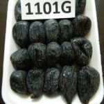 Tarım Gıda ve Gastronomideki Son Dakika Gelişmeleri