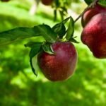 Yaz Aylarında Saçlarınızı ve Cildinizi Besinlerle Koruyun