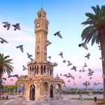 Tohumlardan Gelen Şifa: Sujok Terapi