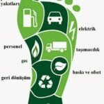 Kader Yazısı mı Genetik Haritalarımız mı?