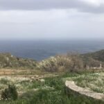 Sektörümüzün Kanayan Yarası TAĞŞİŞ (Karışık Yağcılık)