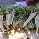 Baklava Kardeş, Gel Beni Kurtar…