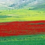 Kıynaşık Fırın