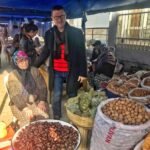Avrupa’da Yeni Bir Bağcılık