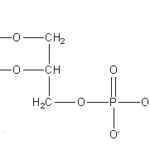 Uzak Diyarlardan Öyküler: Brel’in Sahnesinde Gülüşmeler