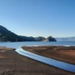 Sarımsağı Nasıl Saklasak da Botulizm’den Kurtulsak