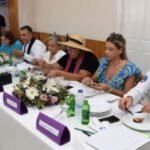 Zeytin Takvimi: Ağustos-Eylül 2022